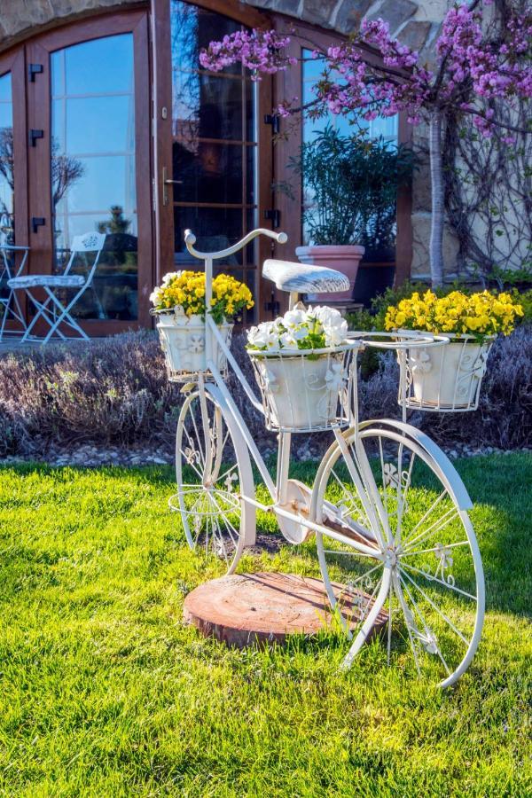 Feniks Agro&Spa Adults Only Świnoujście Екстериор снимка